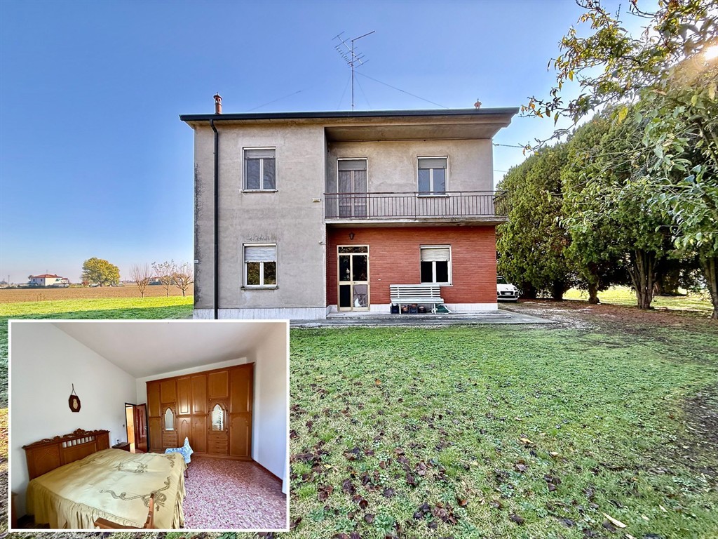 La casa dell’acacia secolare – Via Fiumazzo, Belricetto (Lugo)