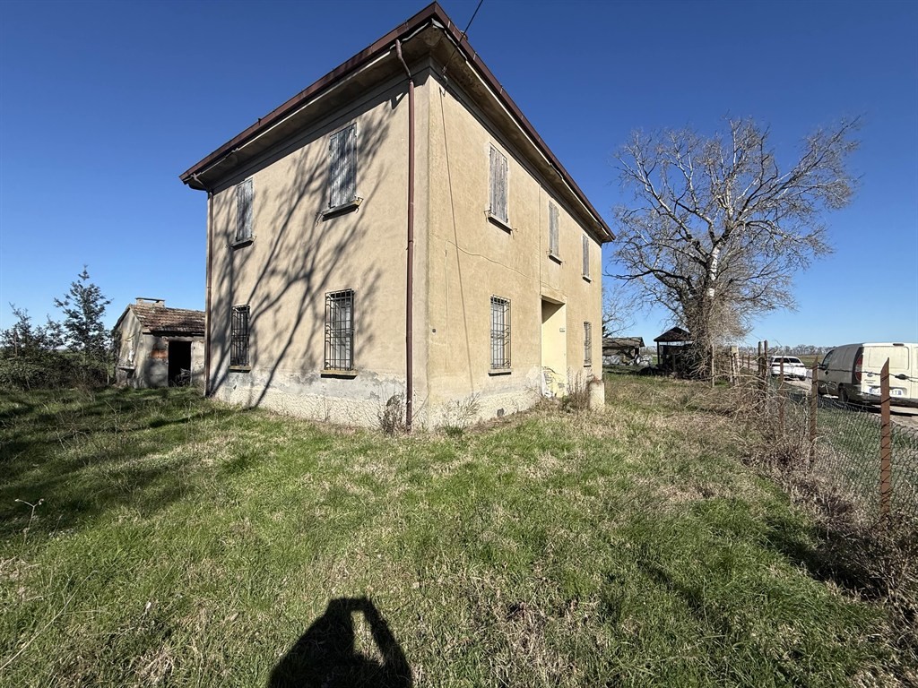 La  Casa dei Pavoni, Filo - Argenta